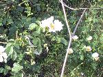 Photo DSC01846.JPG